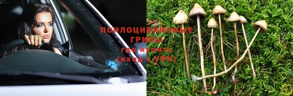 каннабис Заводоуковск